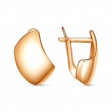 картинка Серьги 34016977 от магазина Wolves