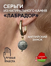 картинка Элитные Серьги Лабрадор №2 от магазина Wolves