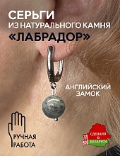 картинка Элитные Серьги Лабрадор №1 от магазина Wolves