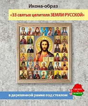 картинка Икона «33 Святых Целителя Земли Русской» от магазина Wolves