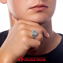 картинка Кольцо 24016860 от магазина Wolves