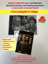 картинка Для спасения от беды образ и икона с молитвой от магазина Wolves