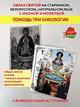 картинка Помощь при онкологии образ и икона с молитвой «Живоносный источник» от магазина Wolves